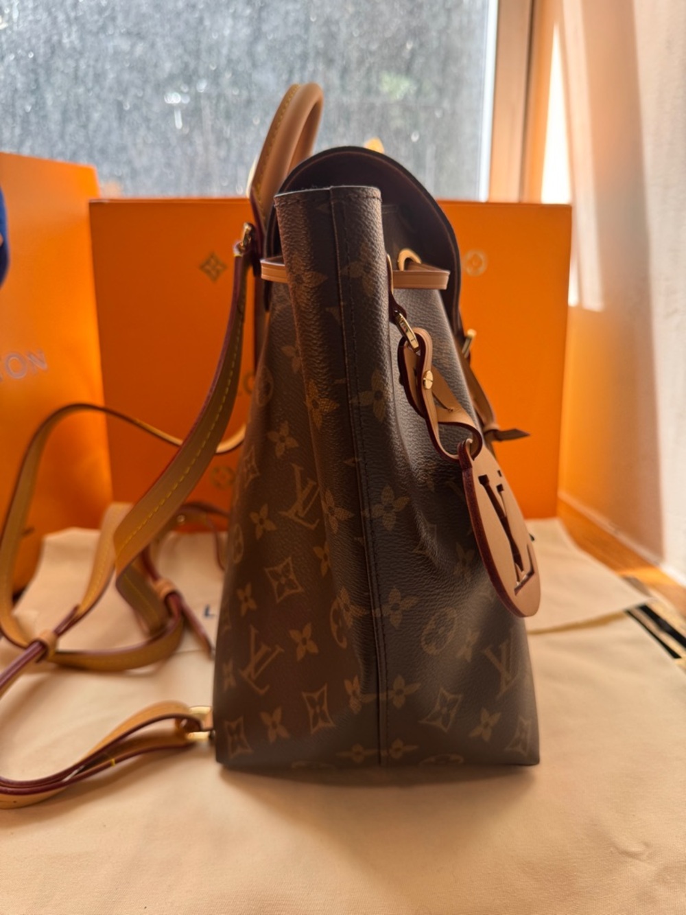 Louis Vuitton Montsouris Backpack - 2022 NEVER! WORN! Grad gift, not my style - Picture 7 of 16